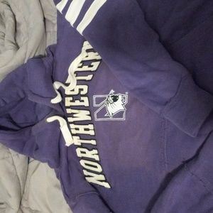 NORTHWESTERN HOODY